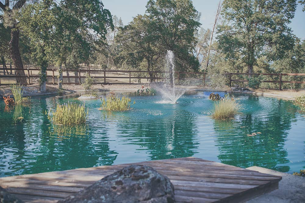 Water Features